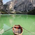 5c8b26982000009e04704604