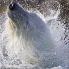 5c8b269822000051001a695c