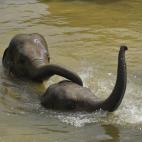 5c8b26982300002f00e7b3fd