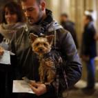 5c8b7c12360000c81a6d3393