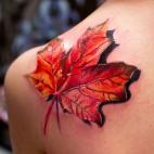 5c8ae2992300005400e75696