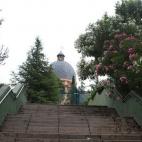 5c8b3c7d2400006d054d2bfd