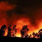 5c8b7b0e2500000704cac6c9