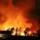 5c8b7b0f2400004205a4d376