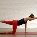 Desde cuadrupedia se levanta, simultáneamente, un brazo y su pierna contraria, quedando el cuerpo en equilibrio sobre dos puntos de apoyo. Este ejercicio sirve para desarrollar el pectoral y el glúteo del brazo y de la pierna que se elevan. ...