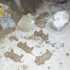 5c8a58f92500000d04c8ef44