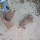 5c8a58fa2500000704c8ef48