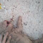 5c8a58fa3b000070066bdf65