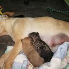 5c8a58fa260000e804fe3cf7