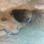 5c8a58fa3b000070066bdf67