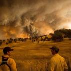 5c8b18d022000031001a43b2