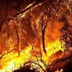 5c8b18d02300007f012417f1