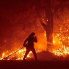 5c8b18d13b000054066cf4f6