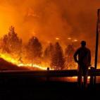 5c8b18d2360000ba1a6c7341