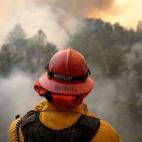 5c8b18d32300002f00e78f34