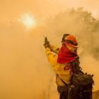 5c8b18d422000030001a43c0