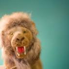 Nos hemos inspirado en la última exposición de Jenny Ottinger, que se dedicaba a practicar la cirugía con sus ositos de peluche hasta dejarlos adorables y terroríficos a partes iguales. Coge un juguete de tu infancia y transfórmalo en una o...