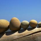 Después de haber tenido un día que quieras recordar, llévate a casa una piedra —o un panfleto, una hoja o lo que quieras: todo vale— de recuerdo y decórala con pensamientos y recuerdos del día que has vivido, no importa si son concretos...
