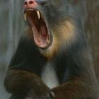 5c8b8292360000a61b6d433c