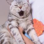 5c8b82922300005300e86091