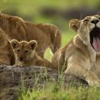 5c8b82922400000a05a4e66a