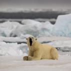 5c8b82932300002f00e86093