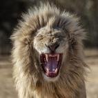 5c8b829322000030001b1709