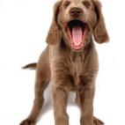 5c8b8294250000e203cad9c3