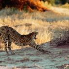 5c8b82952400006d054da9d7