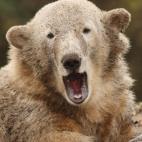 5c8b82952000009e0470f19b