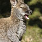 5c8b82953b000054066dc32b