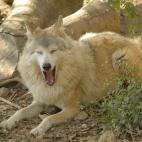 5c8b829624000093024da9d9