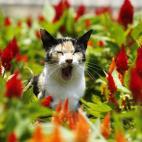 5c8b82962300002f00e8609f