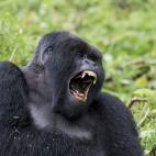 5c8b82972400004205a4e67c