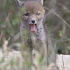 5c8b8298250000e203cad9d3