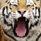 5c8b82982300005300e860a3