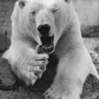 5c8b8299200000450470f1a7