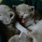 5c8b82992500000d04cad9d9