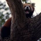 5c8b82992300003000e860a5