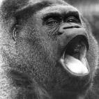 5c8b829a22000031001b171d