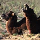 5c8b829a2500000d04cad9db