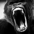 5c8b829a240000f404a4e684