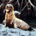 5c8b829b22000031001b1721