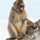 5c8b829b2300005300e860ad