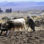 5c8b7bd222000031001b062c