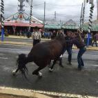 5c8b6e972300005400e82deb