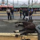 5c8b6e97230000dd0424b756