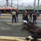 5c8b6e98200000450470beb8