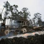 5c8aa51120000043046f7705