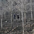 5c8aa511360000a61b6bc8bb